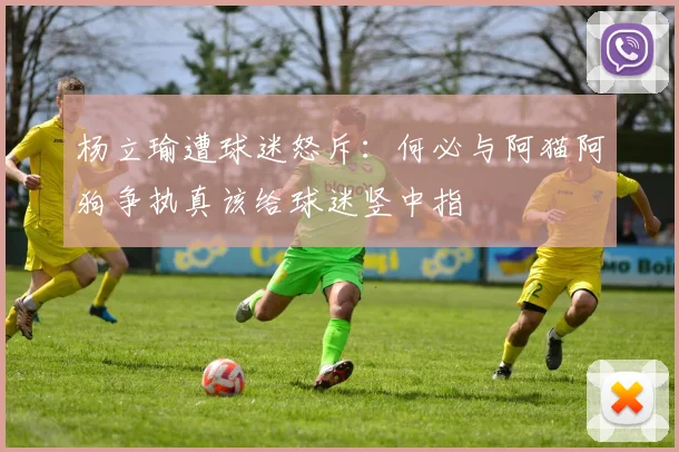 杨立瑜遭球迷怒斥：何必与阿猫阿狗争执真该给球迷竖中指