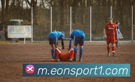 多媒体互动体验